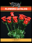 Flowers Catalog