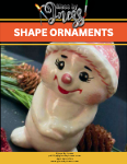Shape Ornaments Catalog