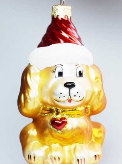 Dog in Santa Hat