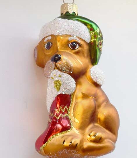 Dog with Stocking Stuffer