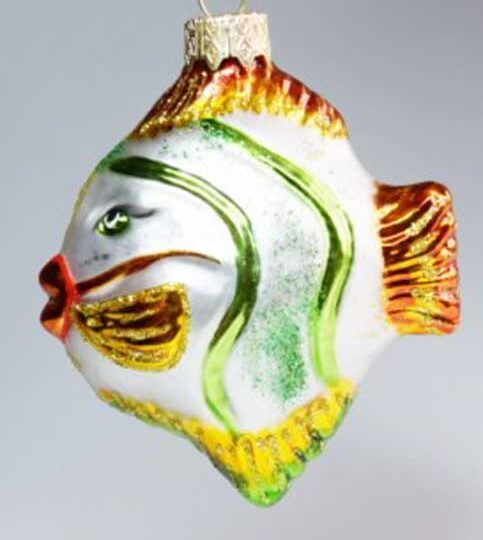 Fish
