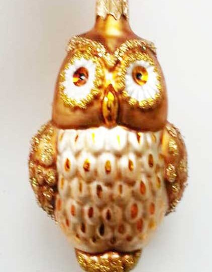 Owl