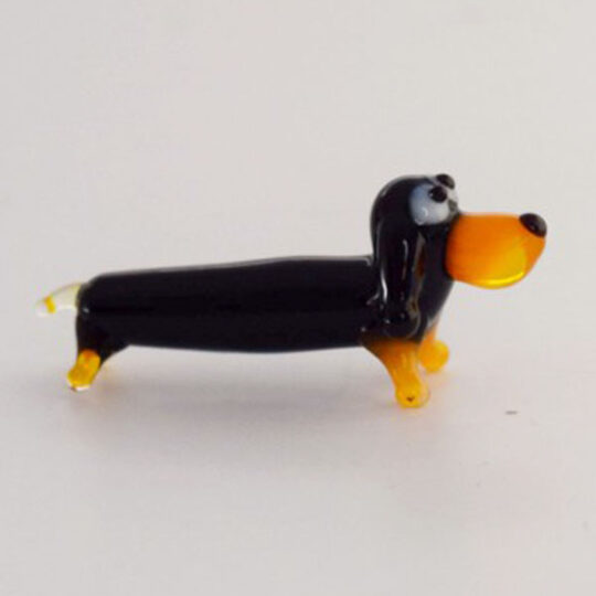 Miniature Dachshund
