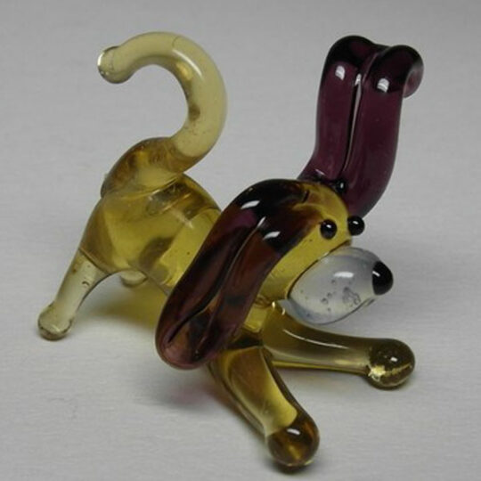Miniature Dog 5