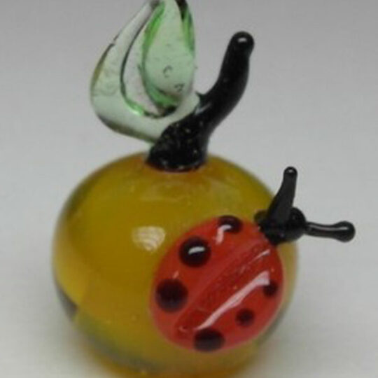Miniature Apple with Ladybug