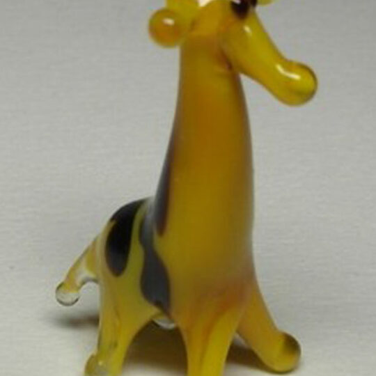 Miniature Giraffe