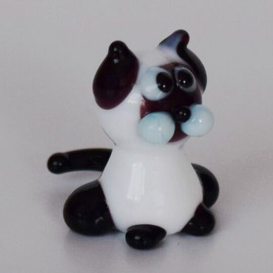 Miniature Black & White Kitten