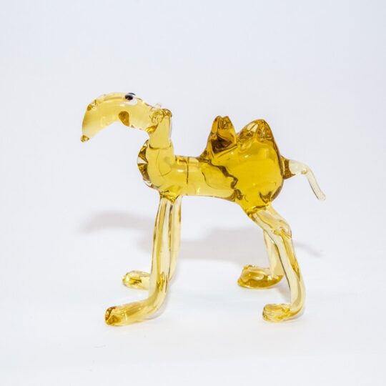 Camel