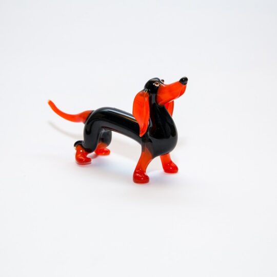 Dachshund #4