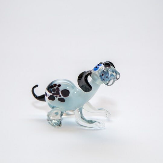 Dog #5
