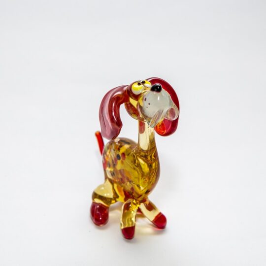 Dog #6