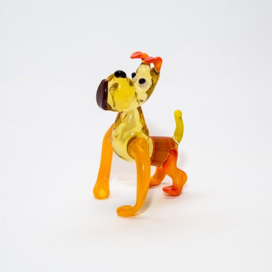 Dog #7