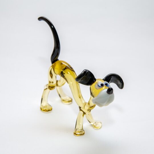 Dog #8