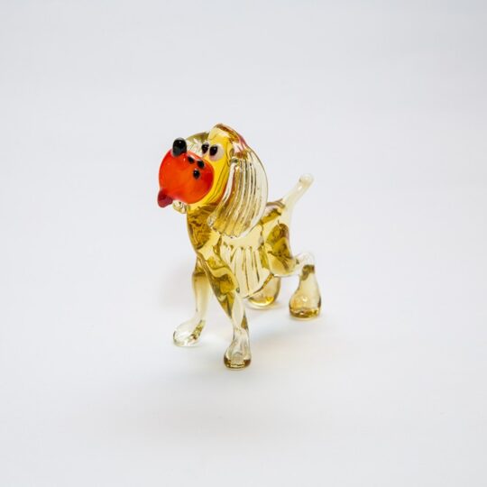 Dog #11