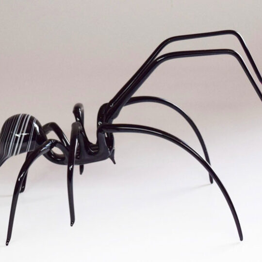 Large Tarantula